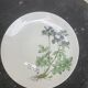6 assiettes plates motif herbier en porcelaine winterling bavaria