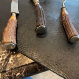 Leg of lamb cutting set
