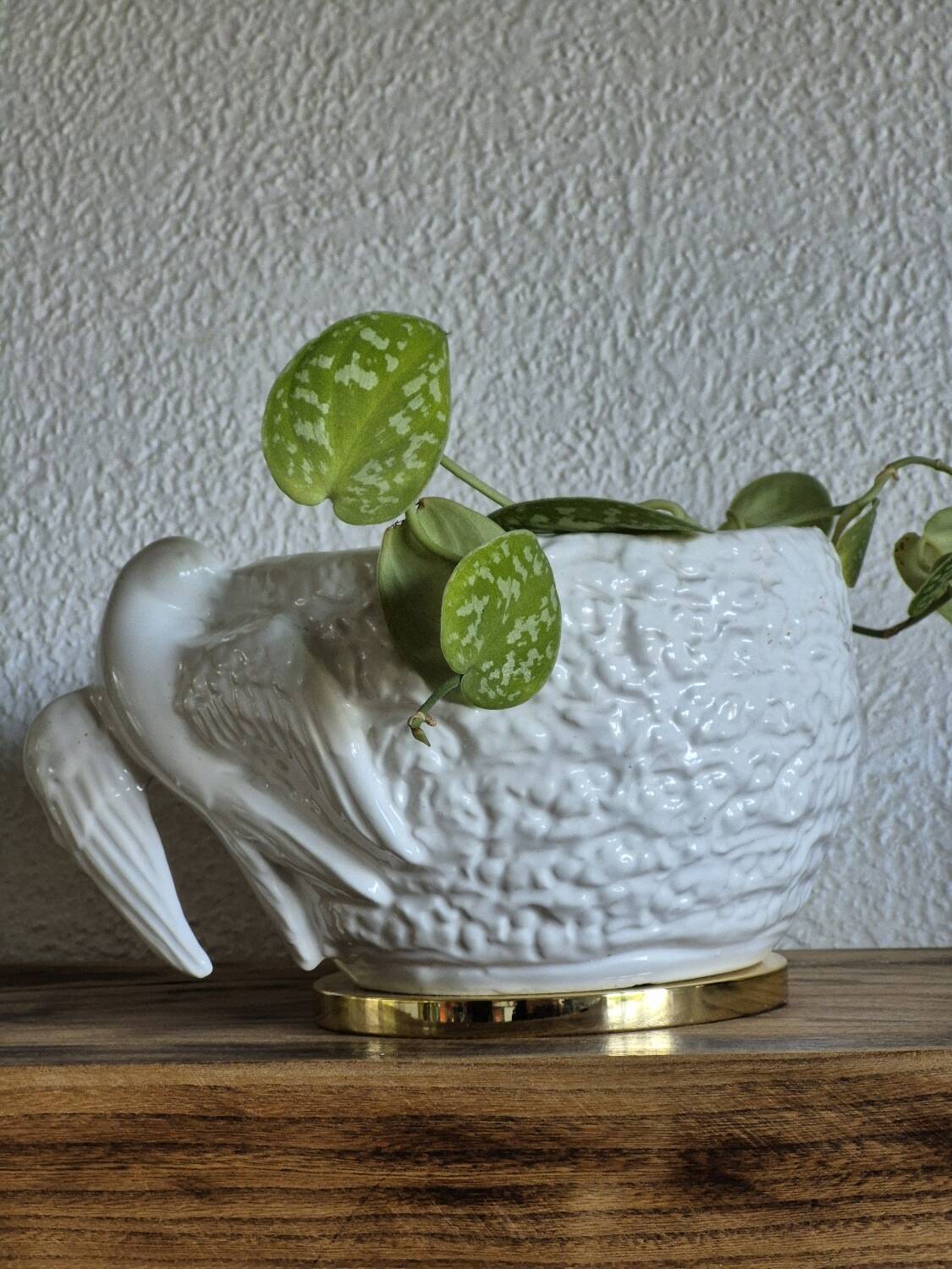 Bird planter