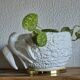 Bird planter