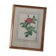 Litho Rosier Pont