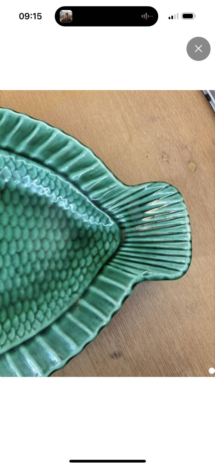 Sarreguemines fish dish