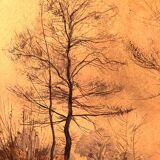 Louis Tauzin (1842-1915), “Landscape at the river” watercolor signed and framed