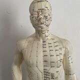 Model acupuncture