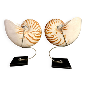 Nautilus Pompilius
