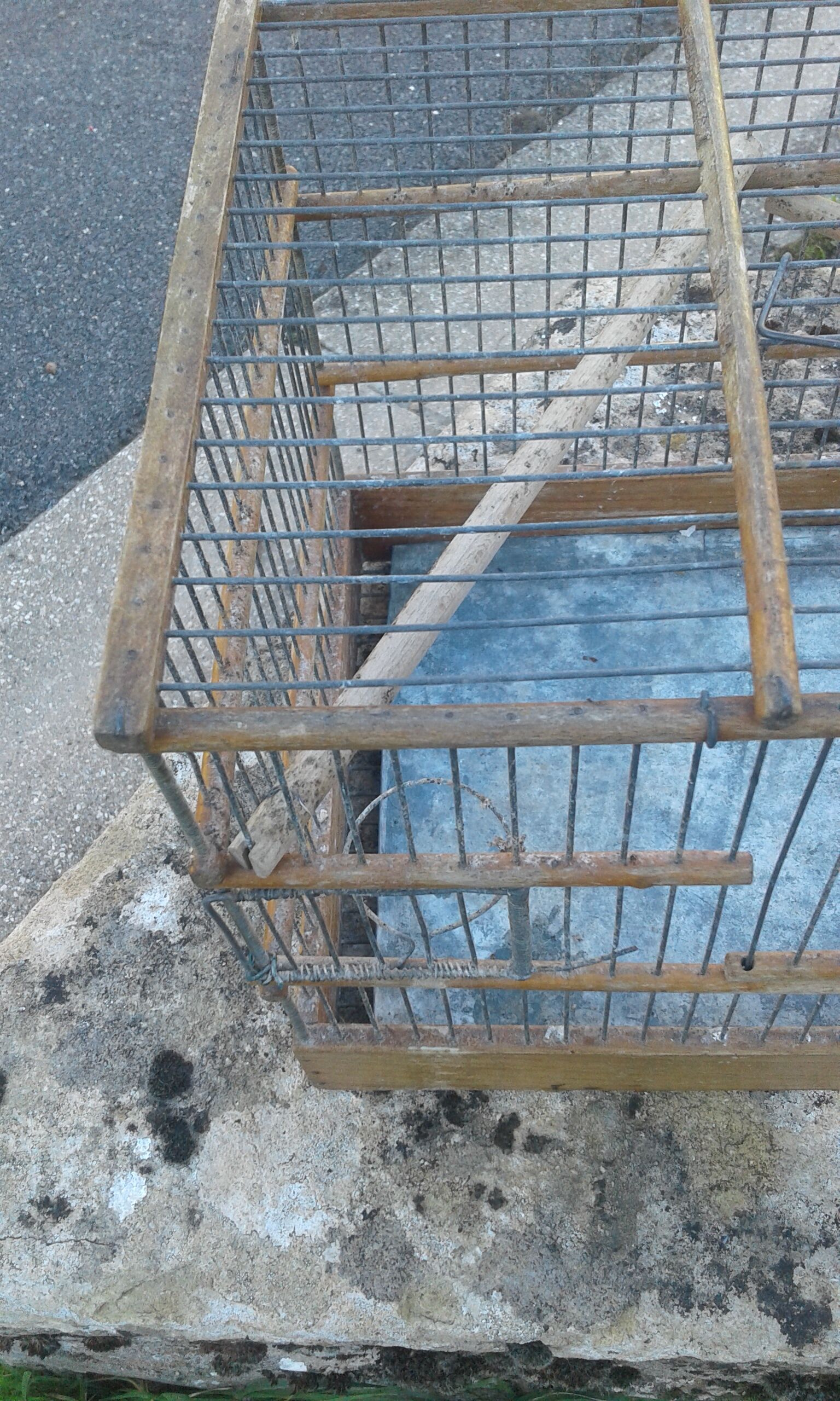 Old canary cage