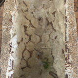 Concrete planter