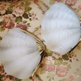 Wall light  shell frosted glass