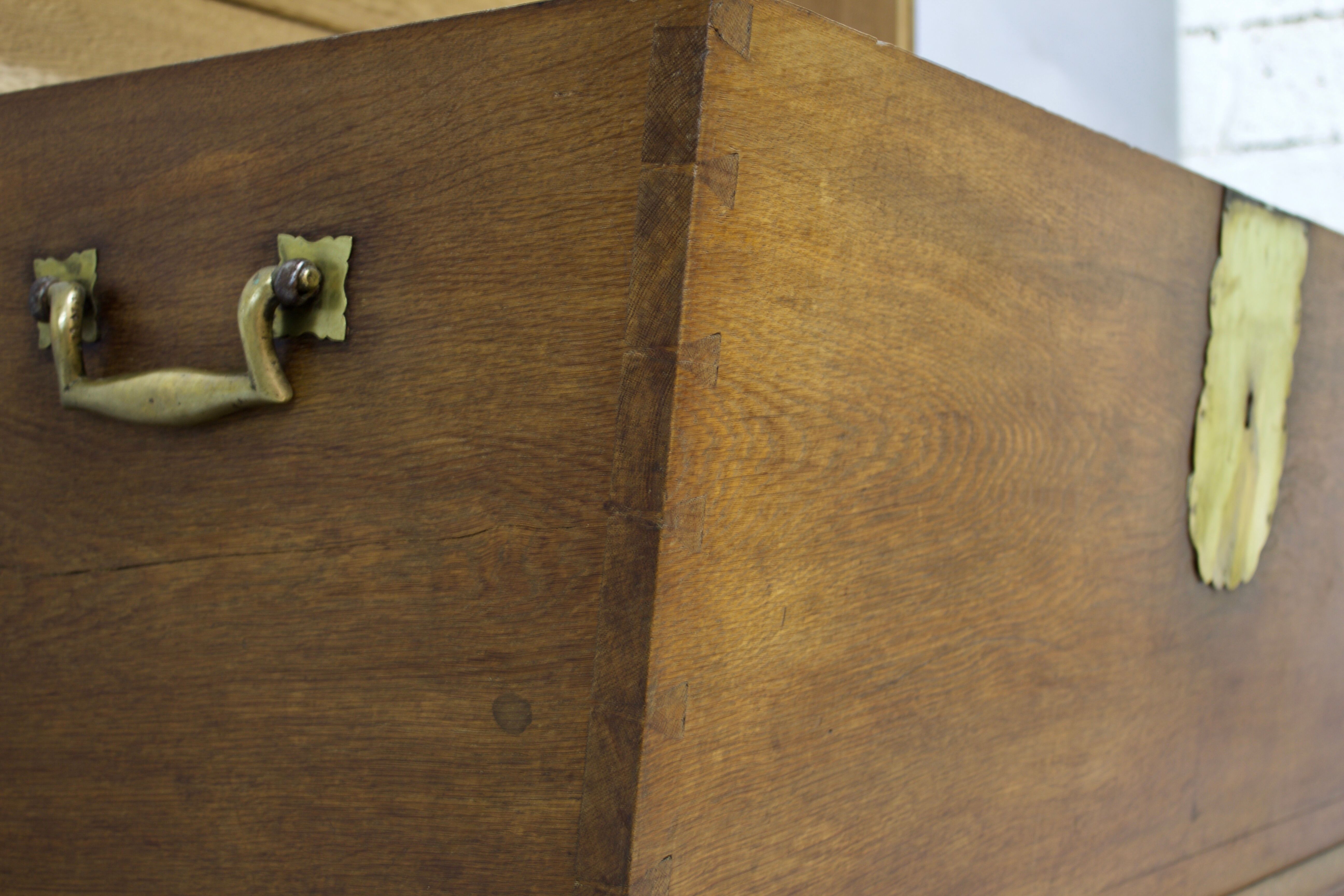 Treasure oak domed top chest