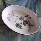 Dish "Botanica" - Villeroy - Boch