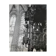 Old black and white silver photography early twentieth century