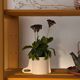Mobi Planter Sandstone