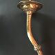 Brass and glass tulip sconce