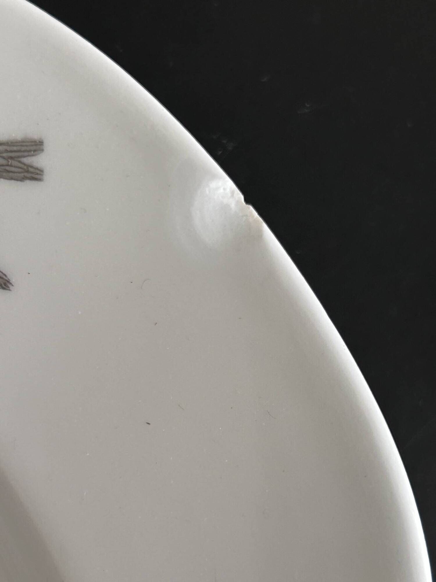 8 porcelain plates and 1 dish CH Pillivuyt & Cie