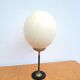 Ostrich egg on a brass stand