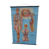 Affiche éducative médicale