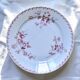 Flat plates from the 19th century, ironstone, signed Maestricht, "Toulouse" collection.