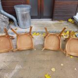Set of bistro chairs, golden oak color