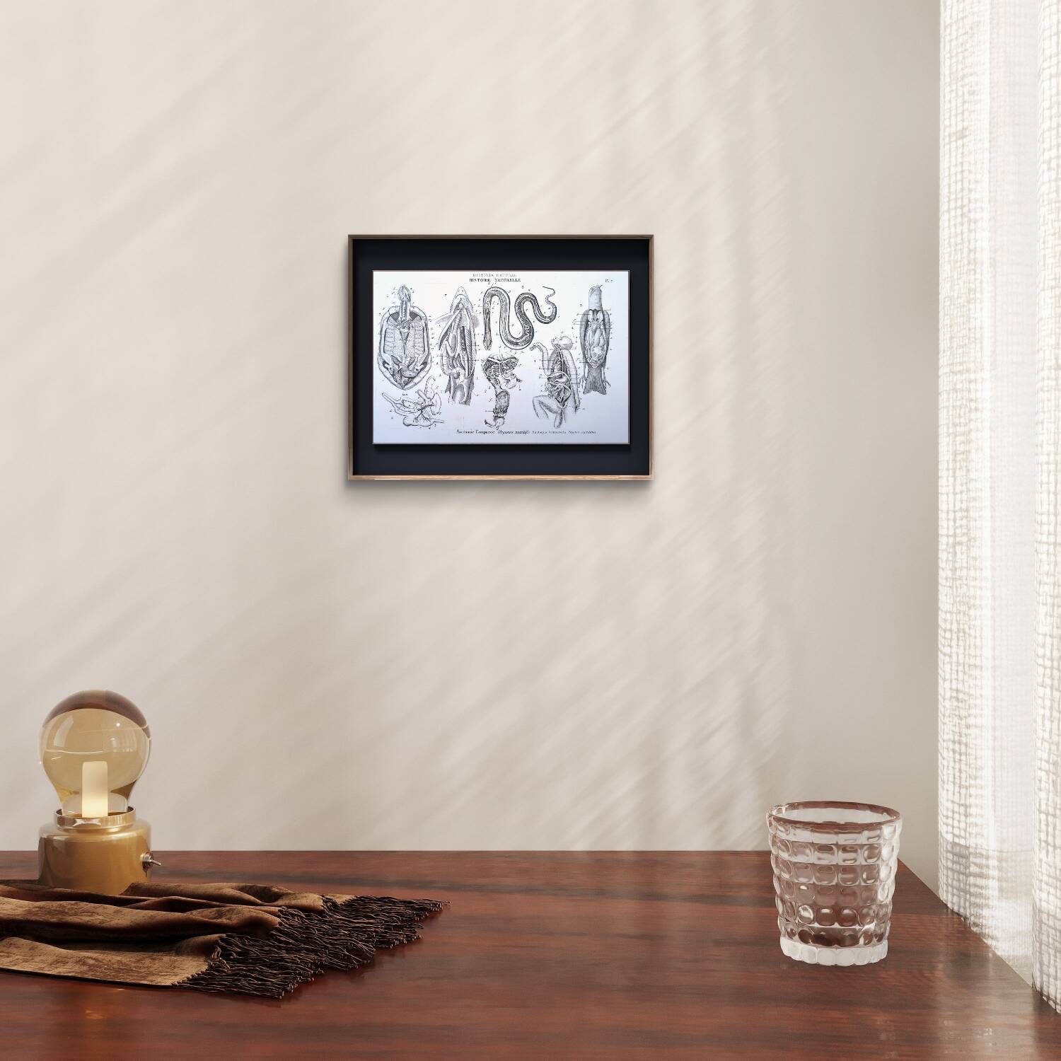 Printed in 1851, Zoological Poster.