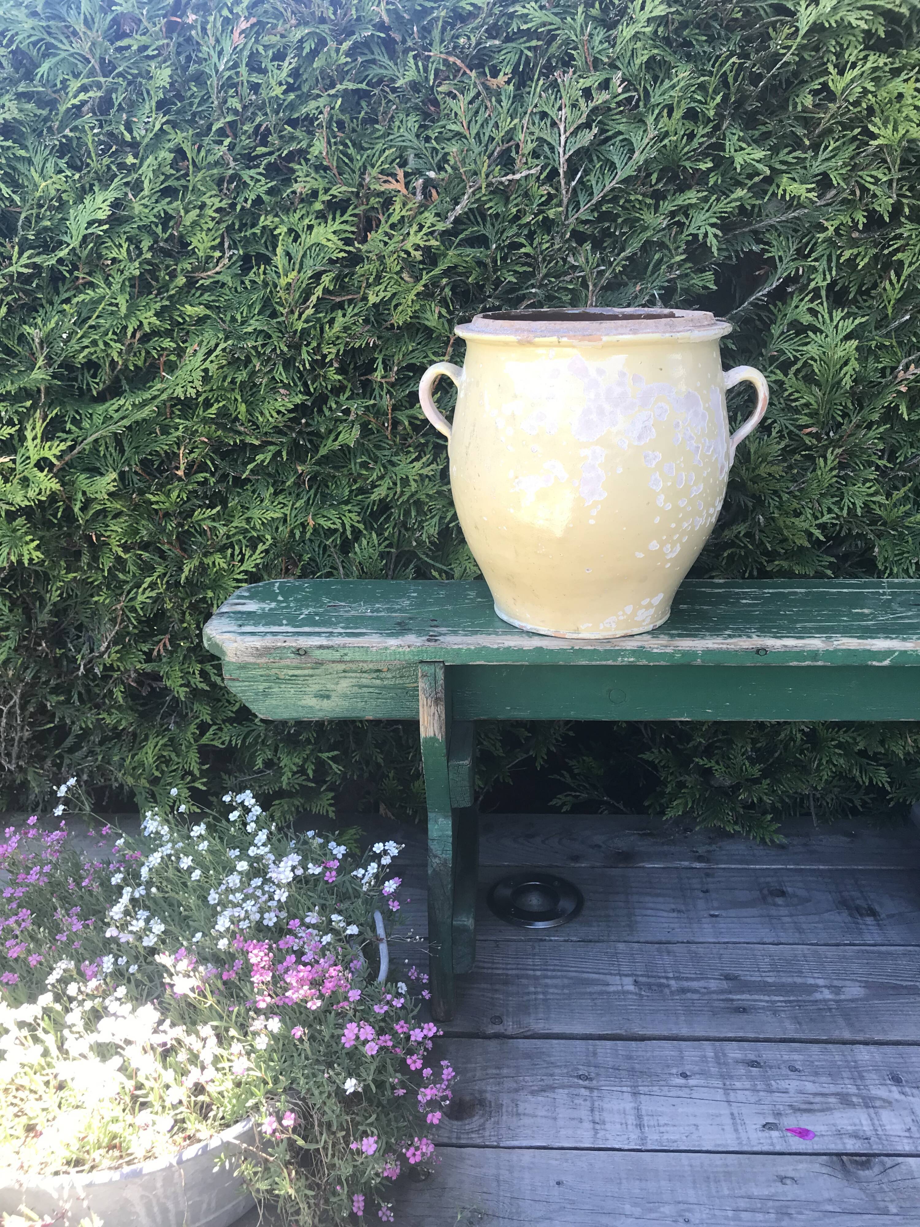 Old ceramic pot