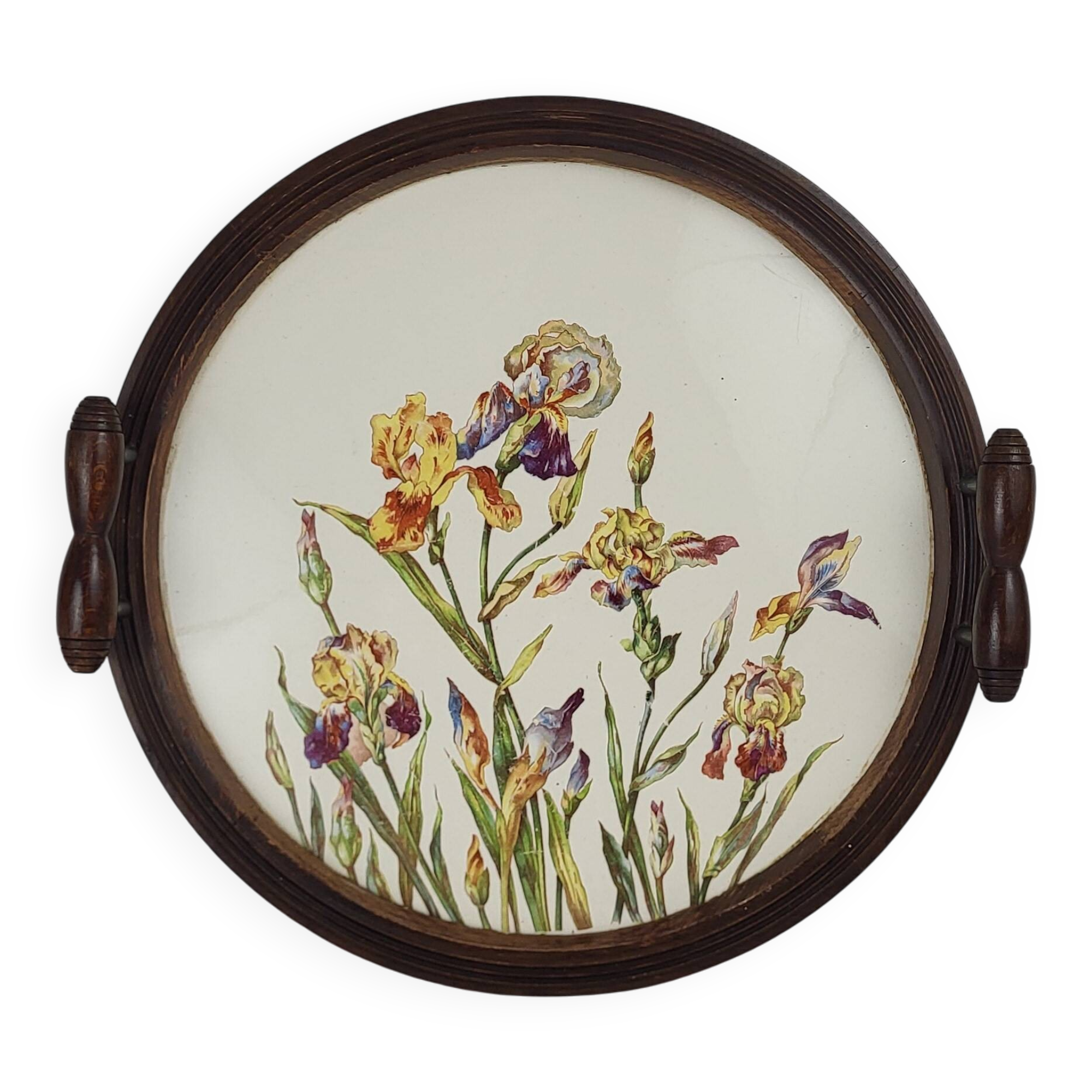 Art Nouveau plate in Sarreguemines earthenware
