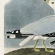 Poster about the Laughing Gull, after an old engraving from 1827.