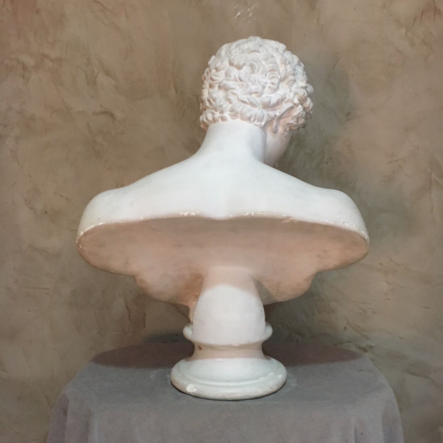 Apollo plaster bust