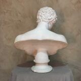 Apollo plaster bust