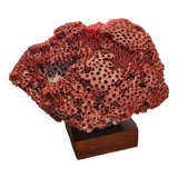 Red coral