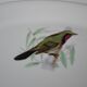 Pie dish Porcelaine du Berry L. Lourioux motif birds aviary