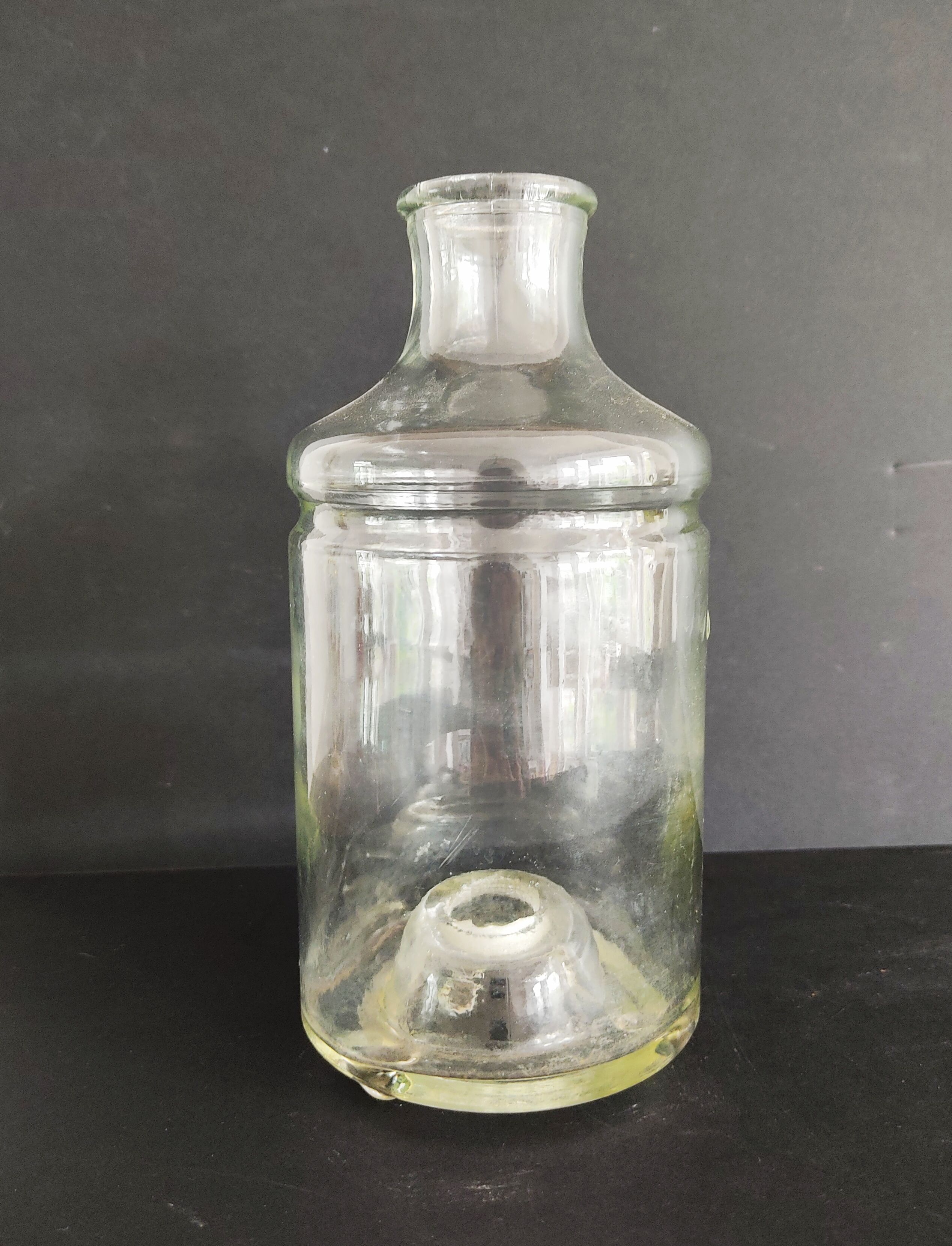 Flies and wasps gap early 20th