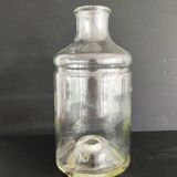 Flies and wasps gap early 20th