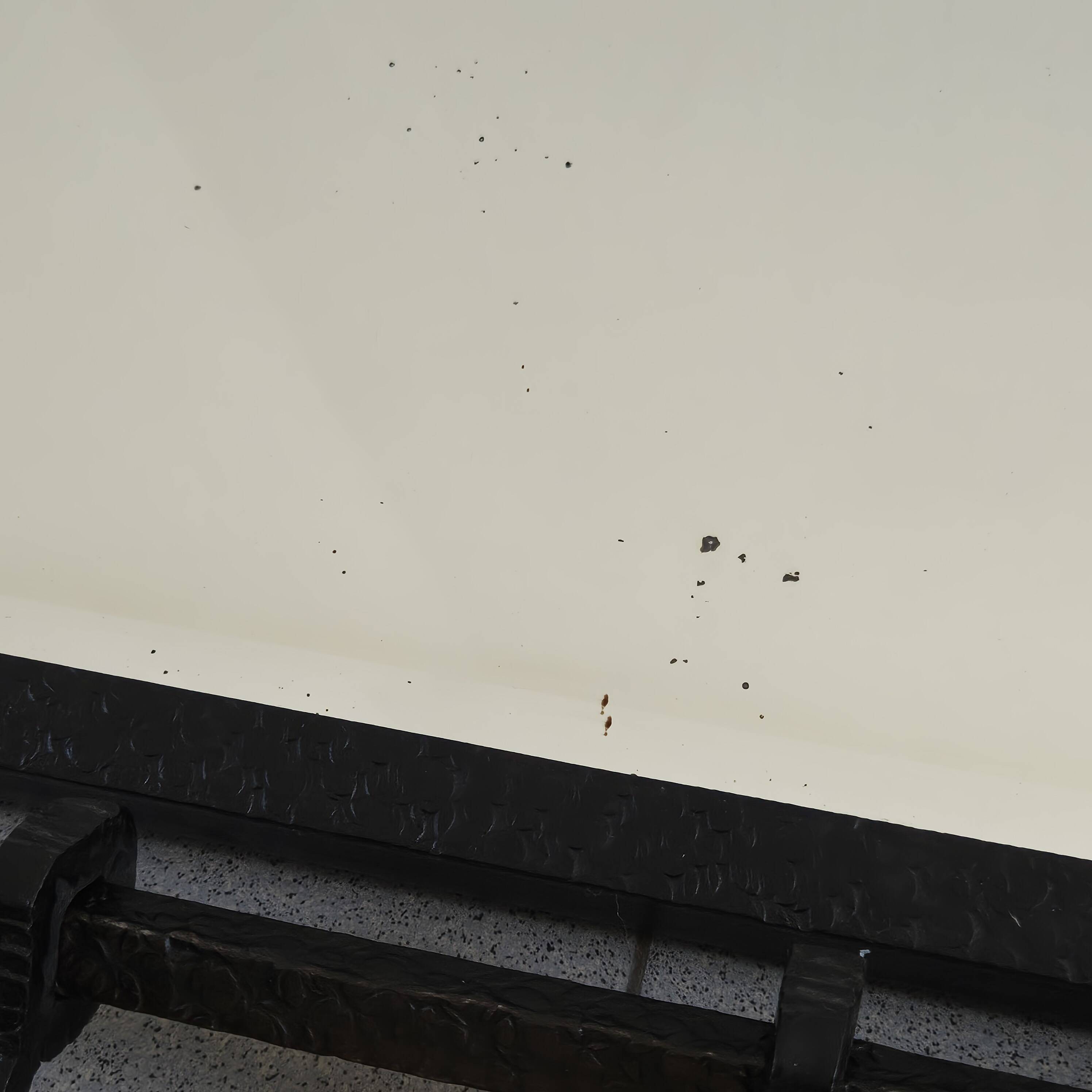 Art Deco coat rack 1920