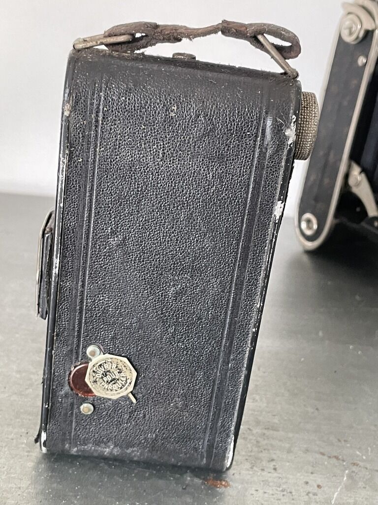 Vintage bellows camera