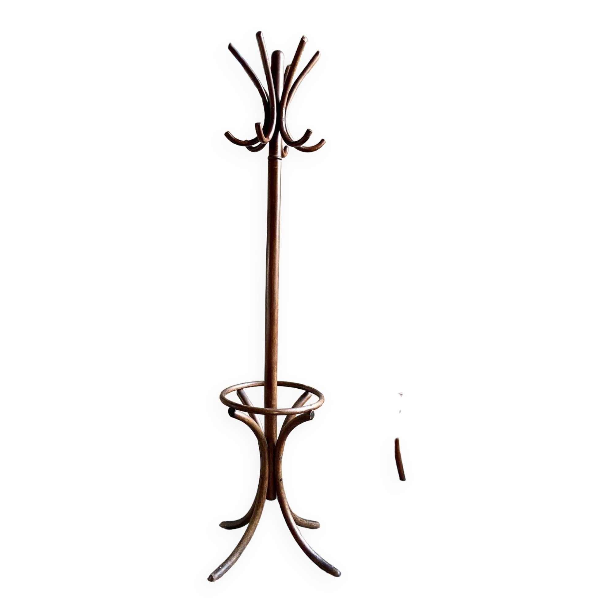 Parrot coat rack with 6 hooks in bent beech