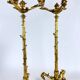 Pair of candelabra with a crane in gilded bronze, bamboo model.