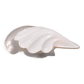 1970s acrylic shell lamp by Rougier