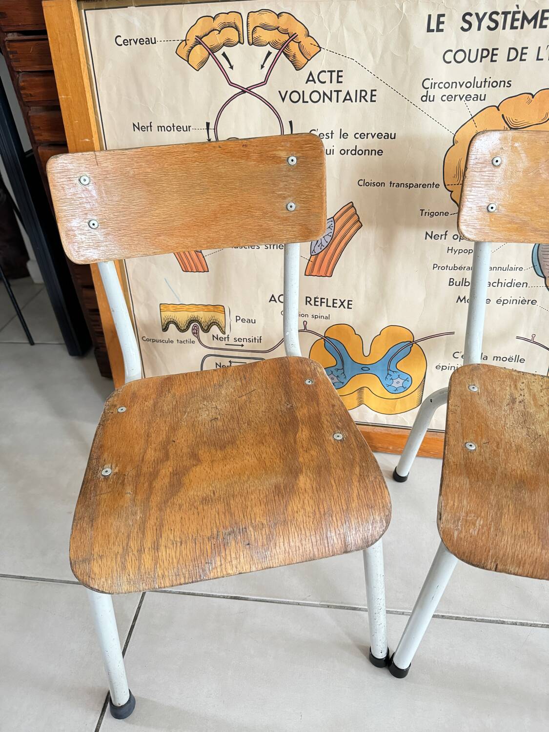 Pair of children's school chairs in wood and metal
