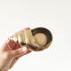 Vintage brass shell ashtray