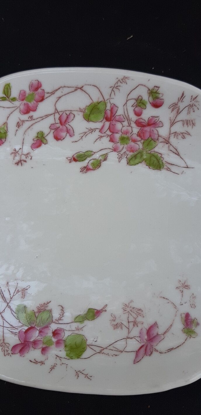 ravier - porcelain dish floral decoration and butterfly