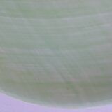 Salins mistral plate