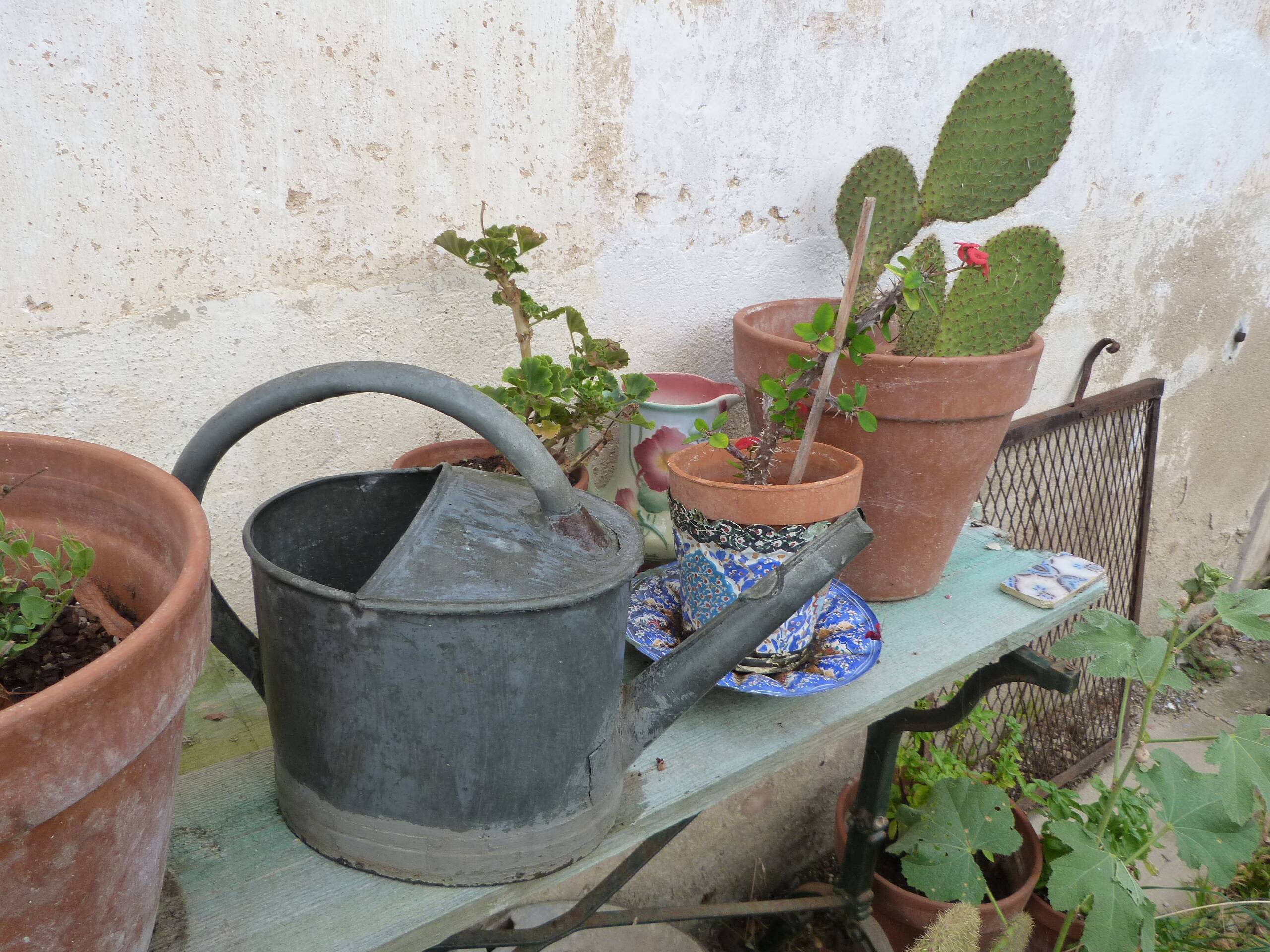 Old small zinc watering can