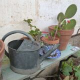 Old small zinc watering can