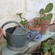 Old small zinc watering can