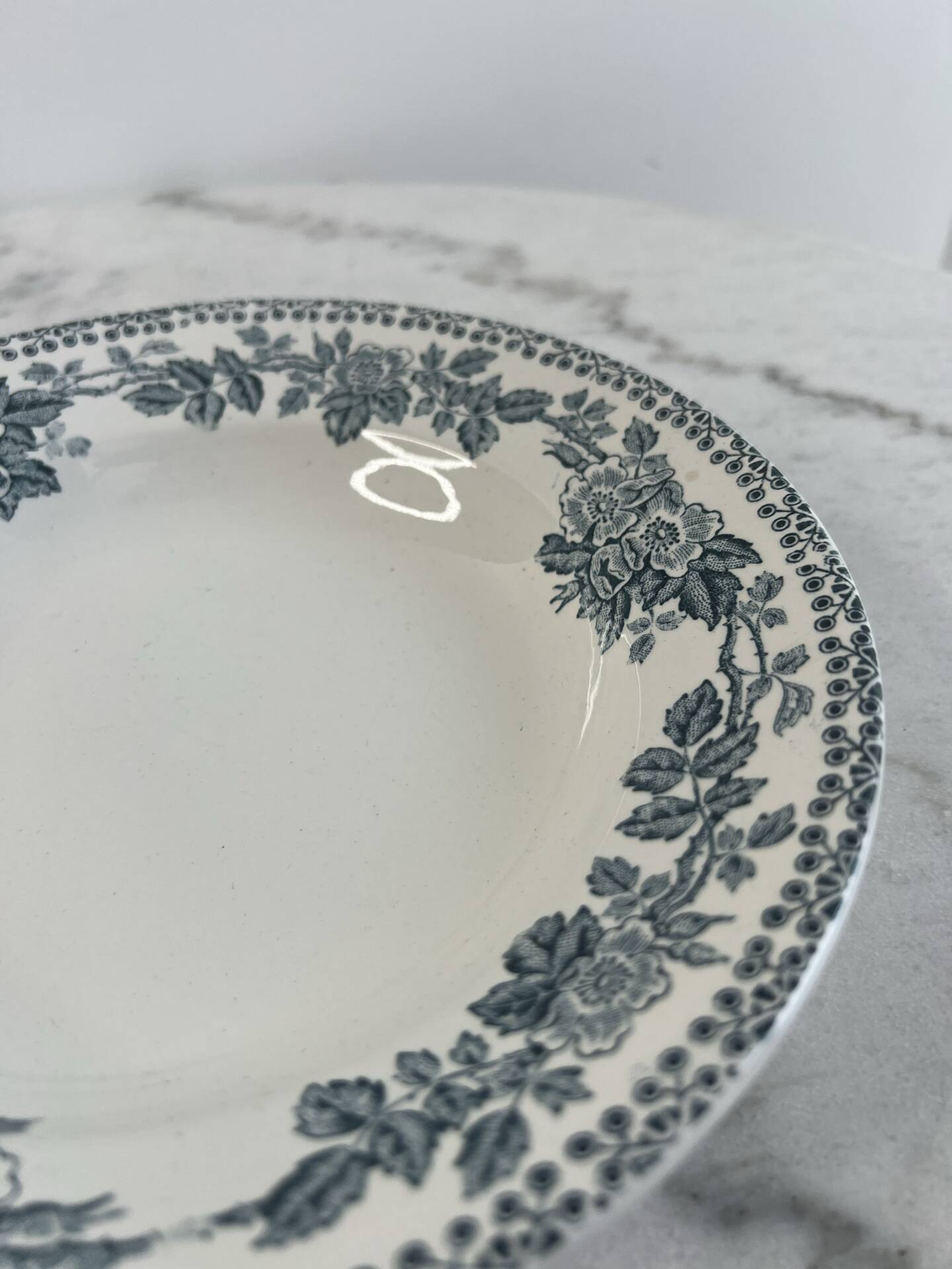 Set of 2 deep plates in ironstone Sarreguemines Digoin Guadel
