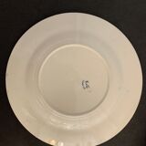 6 dessert plates and old earthenware dish, KG Lunéville