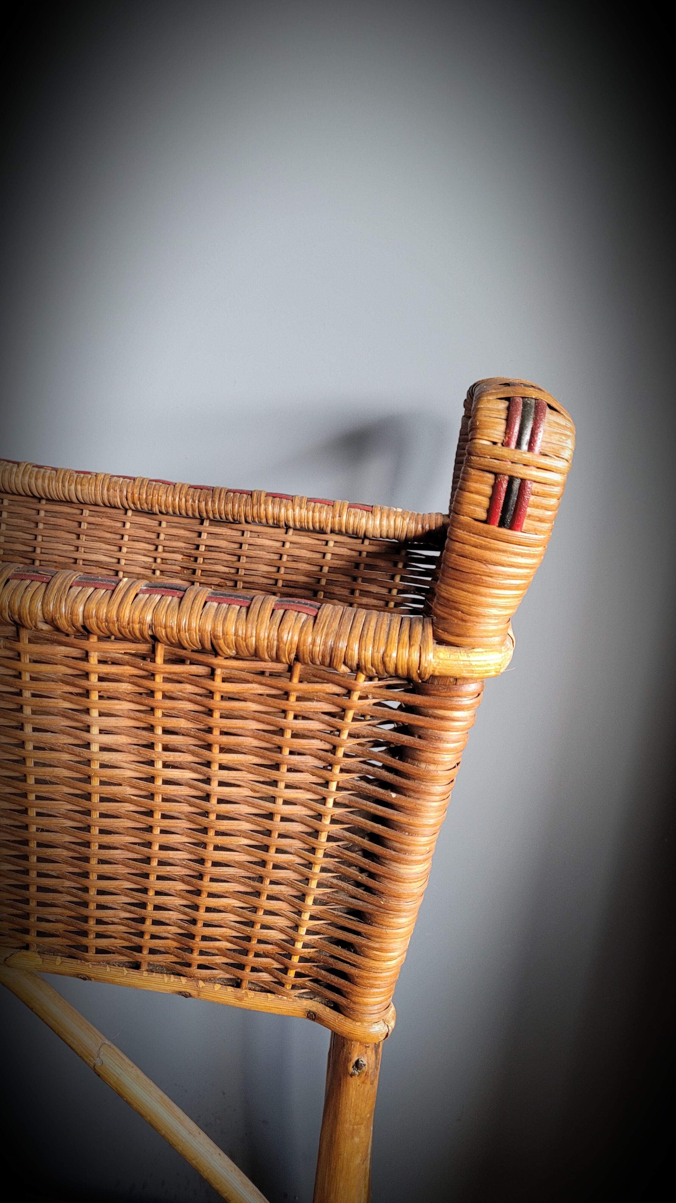 Planter door rattan plant
