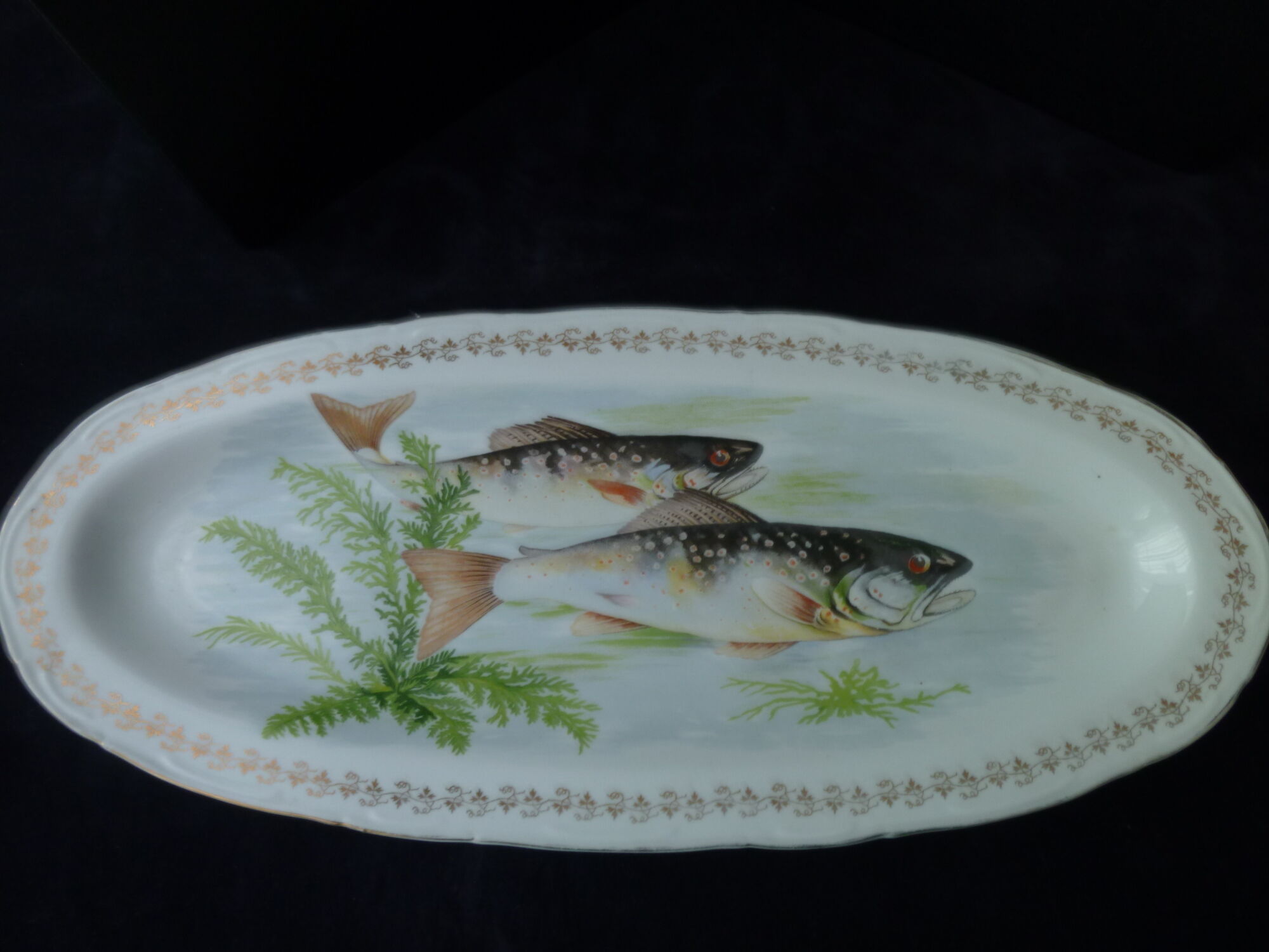 Fish dish in porcelain of France Digoin 53 cm