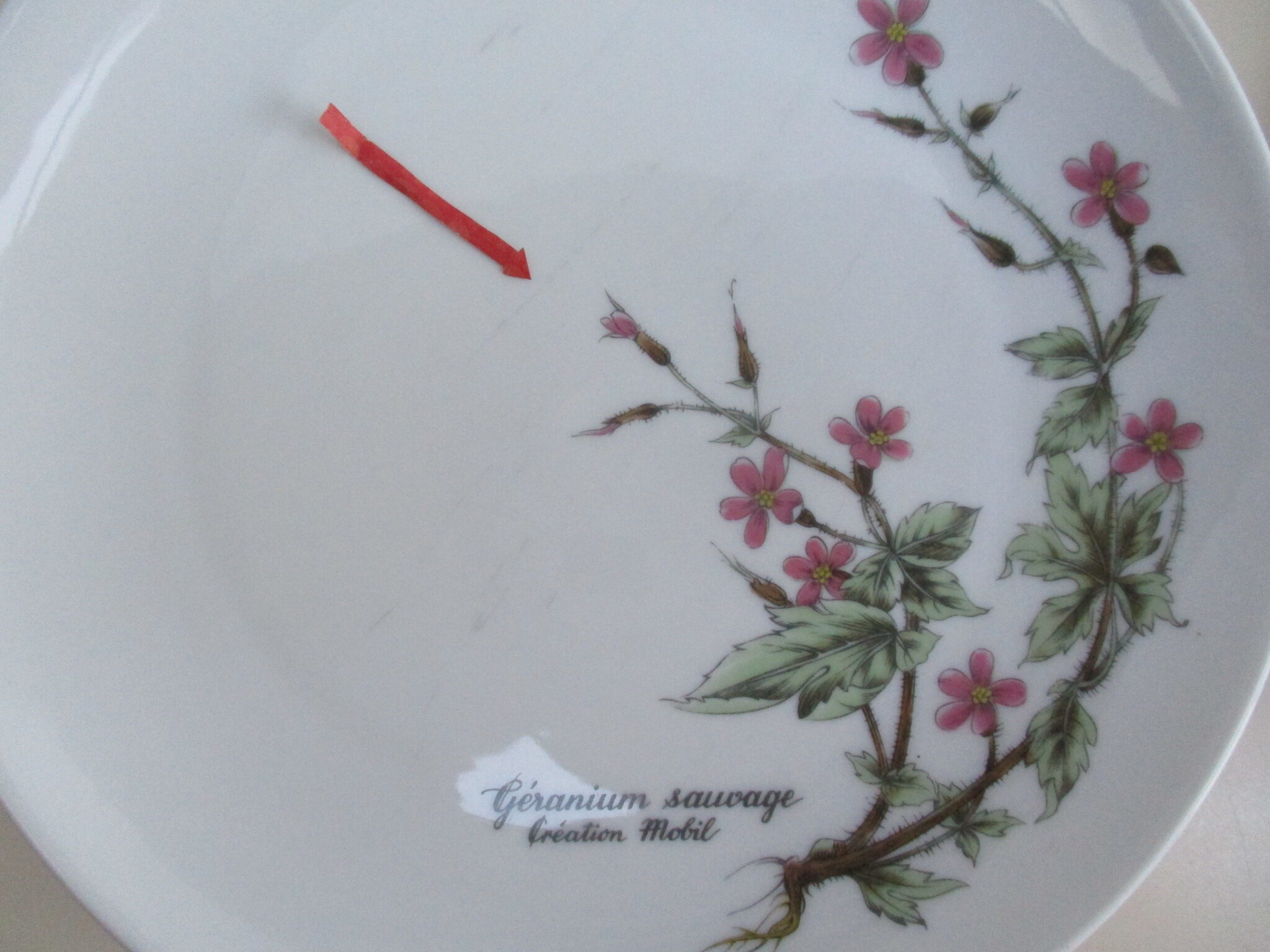 Fine porcelain dessert plates from Bavaria -botaniqu