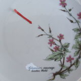 Assiettes à dessert porcelaine fine  de Bavière -botaniqu